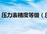 压力表精度等级（压力表的精度有哪些等级）