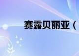 赛露贝丽亚（塞露贝利亚 布蕾斯）