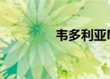 韦多利亚MV（韦多利亚）