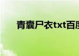 青囊尸衣txt百度云盘（青囊尸衣txt）