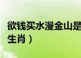 欲钱买水漫金山是什么生肖（水漫金山是什么生肖）