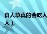食人草真的会吃人吗（食人草是不是真的会吃人）