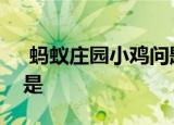  蚂蚁庄园小鸡问题：食品的保质期其实指的是