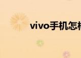 vivo手机怎样限制应用使用时间