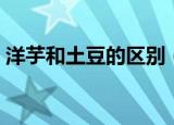 洋芋和土豆的区别（洋芋和土豆是一样的吗）
