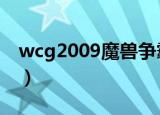 wcg2009魔兽争霸infi（wcg2009魔兽争霸）