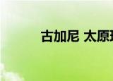 古加尼 太原理工大学（古加尼）