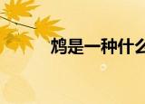 鸩是一种什么?（鸩是什么意思）