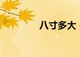 八寸多大（八寸是指多大）