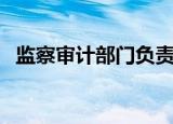监察审计部门负责人工作总结（监察审计）