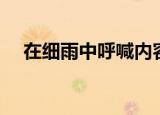 在细雨中呼喊内容梗概（在细雨中呼喊）
