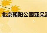 北京朝阳公园亚朵酒店地址（北京朝阳公园）