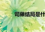 司藤结局是什么（关于司藤结局）