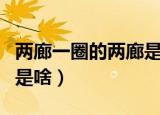 两廊一圈的两廊是什么（两廊一圈的两廊指的是啥）