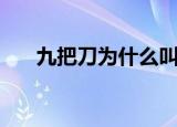 九把刀为什么叫九把刀（九把刀原名）
