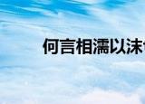 何言相濡以沫txt（何言相濡以沫）