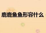 鹿鹿鱼鱼形容什么（鹿鹿鱼鱼是什么意思呢）