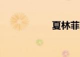 夏林菲 蒜（夏林菲）