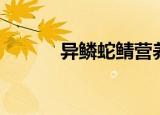 异鳞蛇鲭营养价值（异鳞蛇鲭）