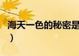 海天一色的秘密是什么（海天一色的秘密介绍）