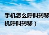 手机怎么呼叫转移到另一台手机（如何设置手机呼叫转移）