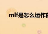 mlf是怎么运作的（mlf操作什么意思）