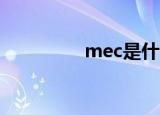 mec是什么意思（MEC）