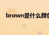 brown是什么颜色（brown的扩展资料）