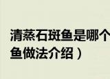 清蒸石斑鱼是哪个地方的菜系名菜（清蒸石斑鱼做法介绍）