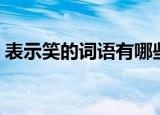 表示笑的词语有哪些（什么词语是表示笑的）