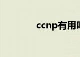 ccnp有用吗（ccnp是什么）