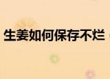 生姜如何保存不烂（让生姜保存不烂的方法）
