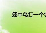 笼中鸟打一个字（笼中鸟打一人名）