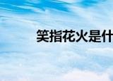 笑指花火是什么成语（笑指花火）