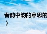 春韵中韵的意思的意思（春韵原文内容及解释）