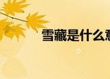 雪藏是什么意思（雪藏的含义）