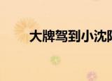 大牌驾到小沈阳（小沈阳豪华轿车）