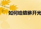 如何给貔貅开光（给貔貅开光的方法）