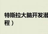 特斯拉大脑开发潜能训练（特斯拉潜能开发课程）