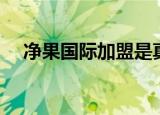 净果国际加盟是真的吗（净果国际加盟）