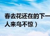 春去花还在的下一句（春去花还在的下一句是人来鸟不惊）