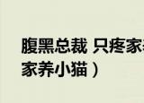 腹黑总裁 只疼家养小猫txt（腹黑总裁 只疼家养小猫）