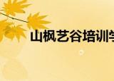 山枫艺谷培训学校收费（山枫艺谷）