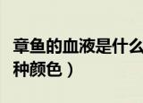 章鱼的血液是什么颜色（章鱼血液呈现的是哪种颜色）