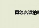 甯怎么读的呢（甯有几种读音）