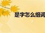 是字怎么组词语（是字如何组词）