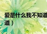 爱是什么我不知道我只知道（爱是什么我不知道）