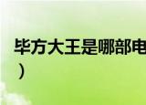 毕方大王是哪部电影（这部电影剧情是怎样的）