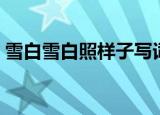 雪白雪白照样子写词语（分别是怎么解释的）