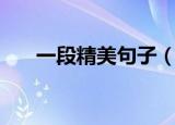 一段精美句子（一段文字优美的句子）